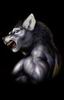 garou - werewolf
